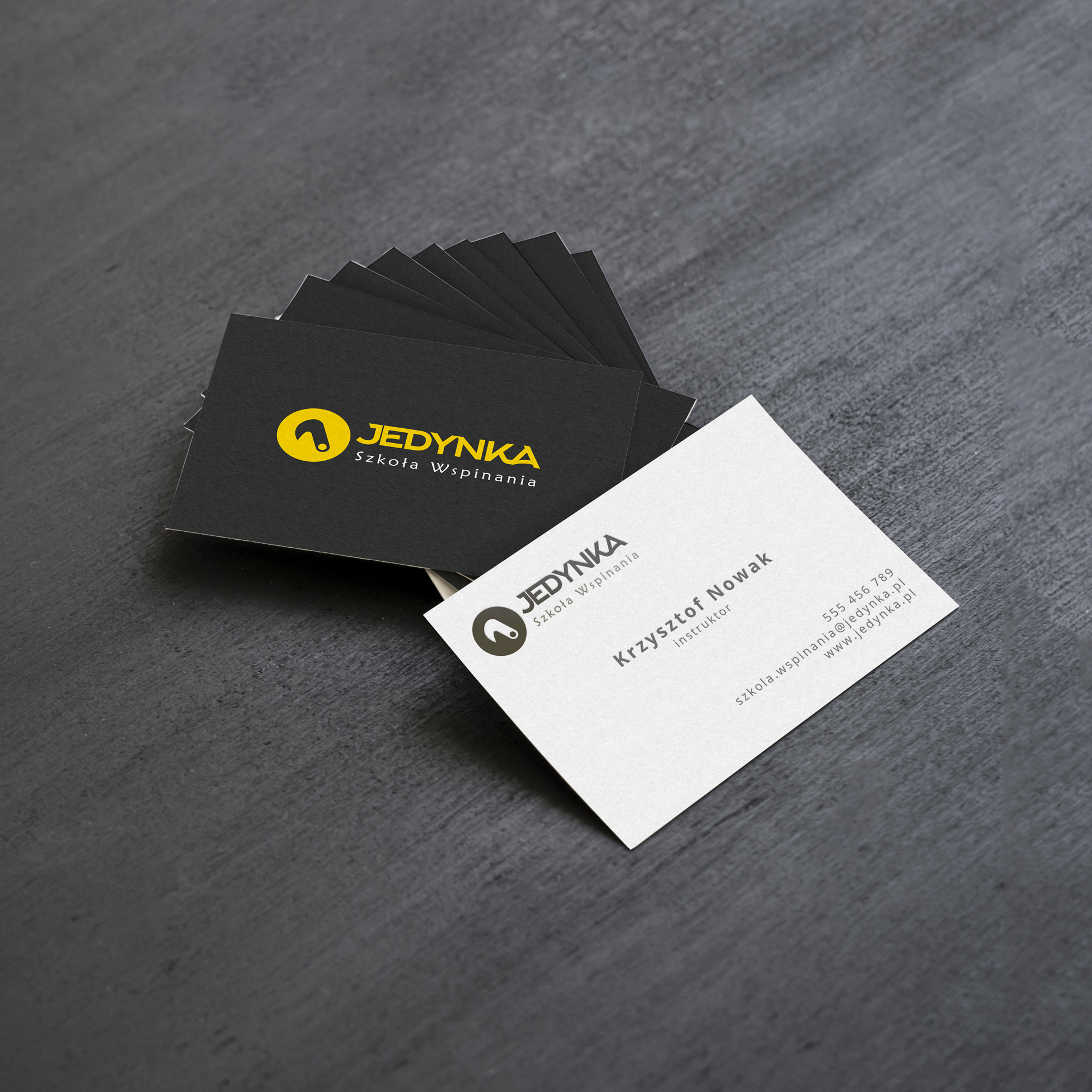 Logo Jedynka